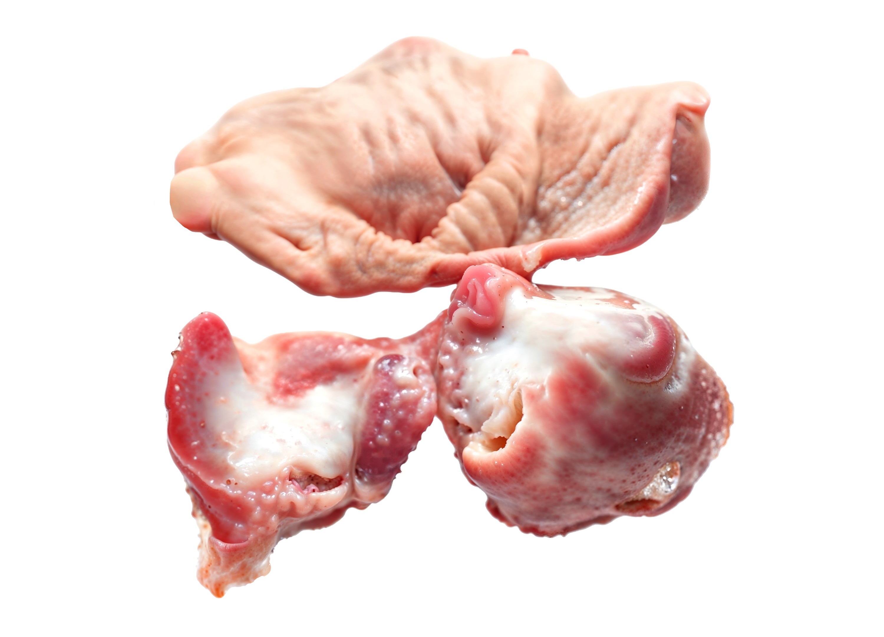 MOLLEJA POLLO CLAXTON