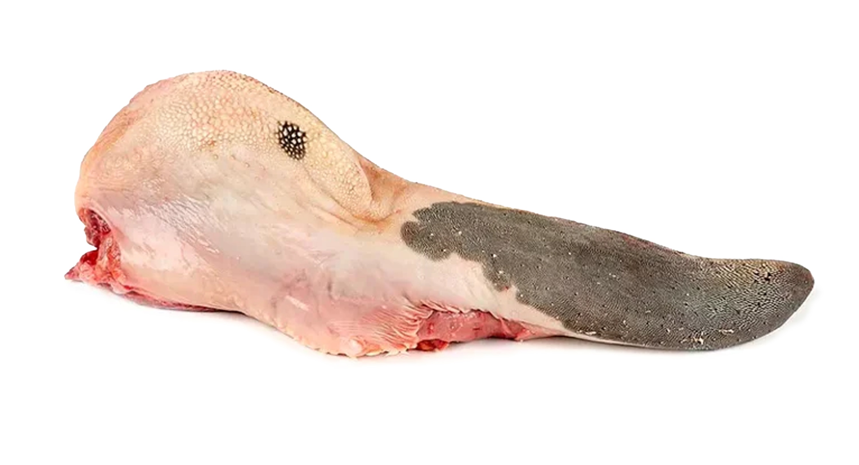 LENGUA RES MARFRIG GT