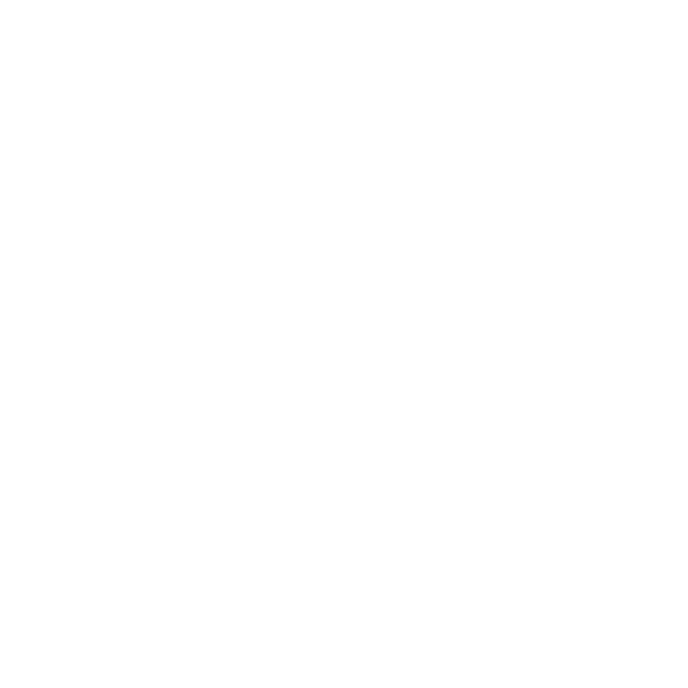 Logo alimsa